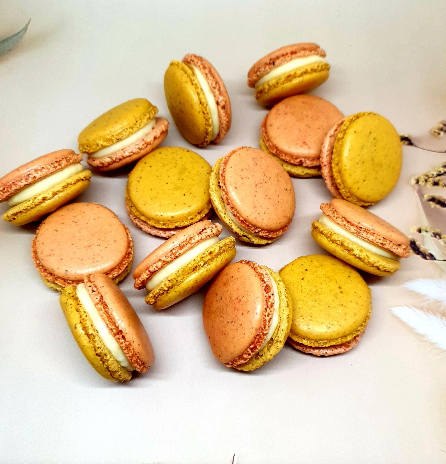 Macarons citron noisette