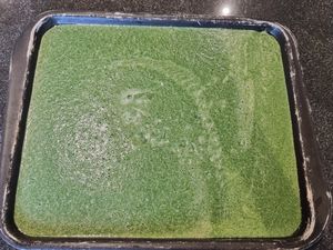 Omelette roulée épinards et tomates séchées