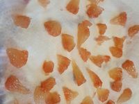 Entremet pain d'épices pamplemousse