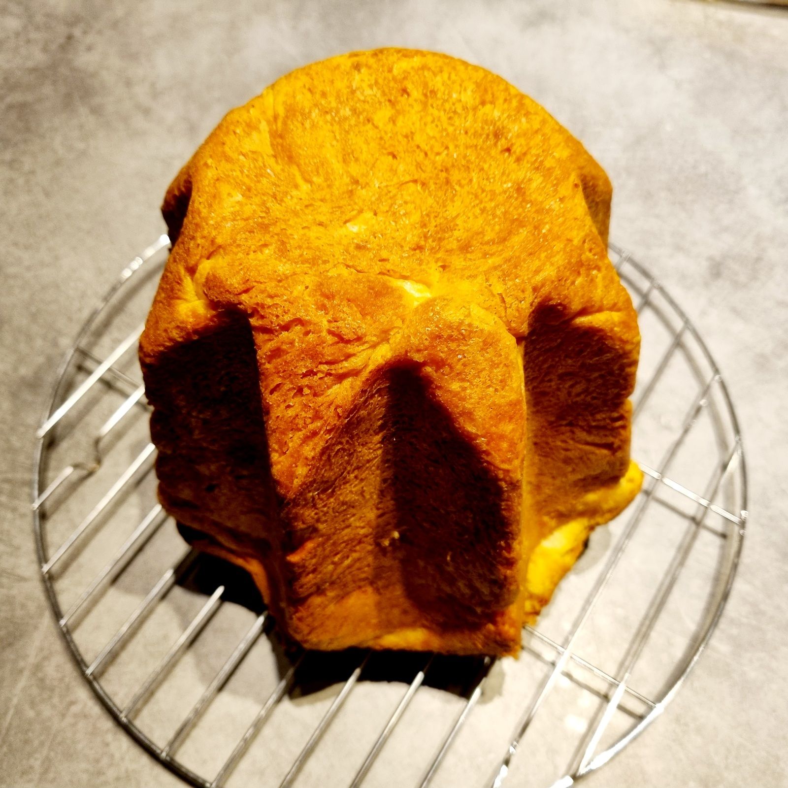 Pandoro