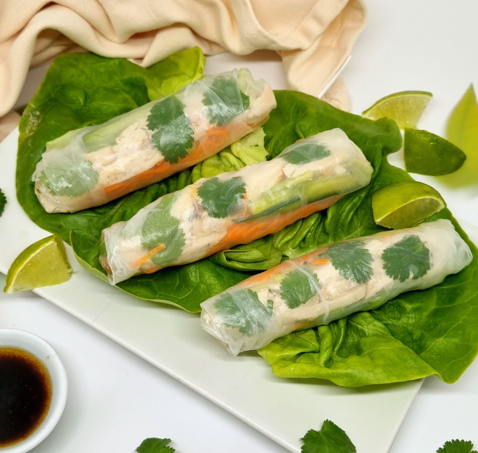 Rouleaux de printemps au poulet