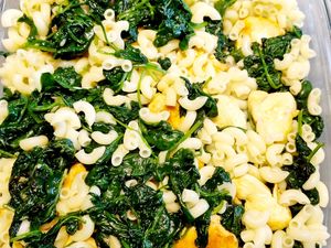 Gratin de pâtes aux épinards et poulet