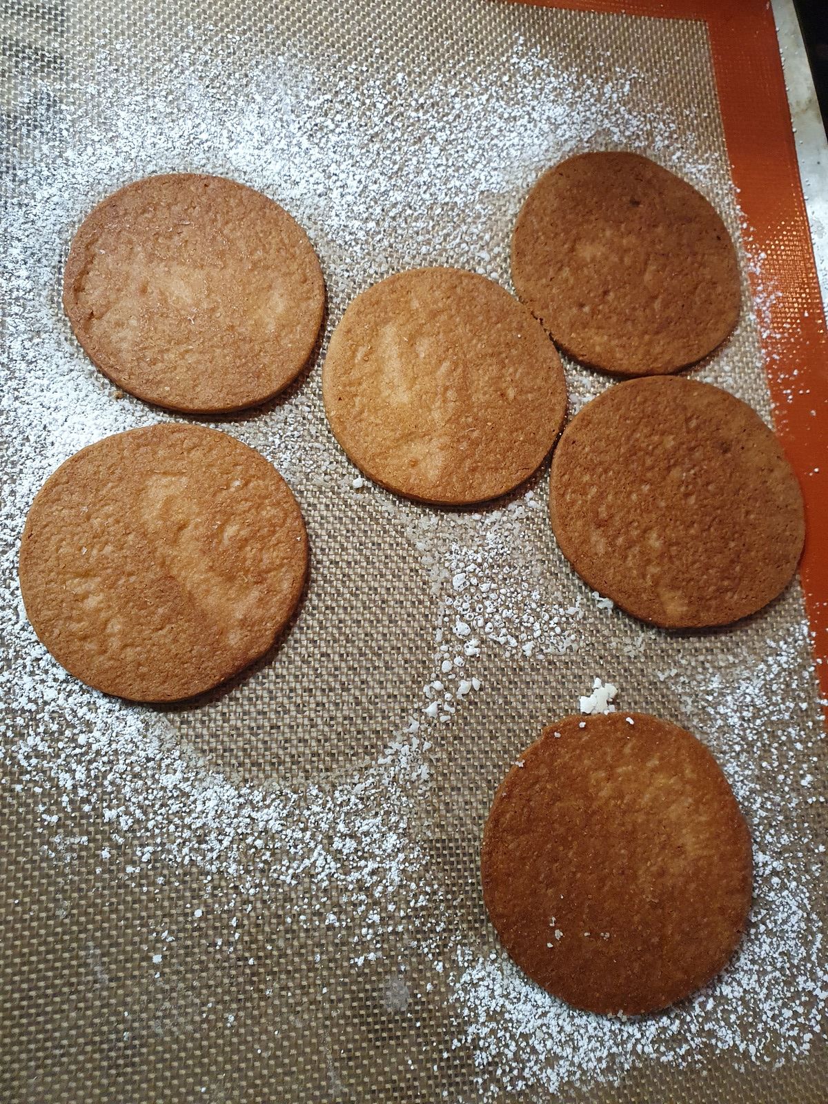 Entremet pain d'épices pamplemousse