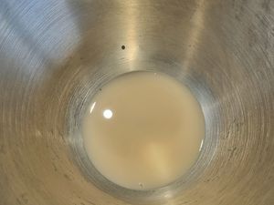 Panettone aux pépites de chocolat