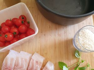 Cocotte riz et poisson