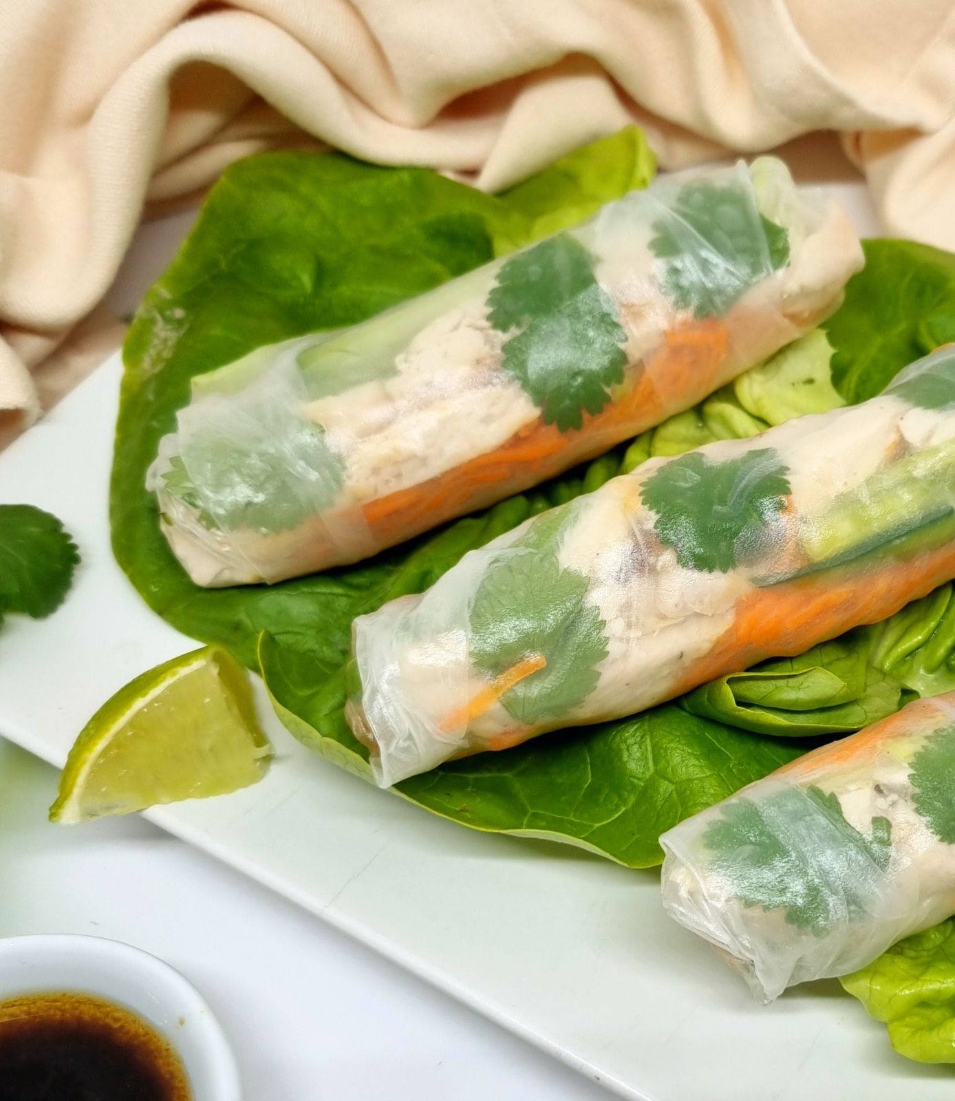 Rouleaux de printemps au poulet