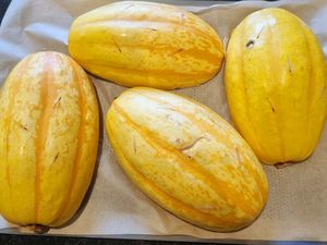 Courges spaghettis à la bolognaise