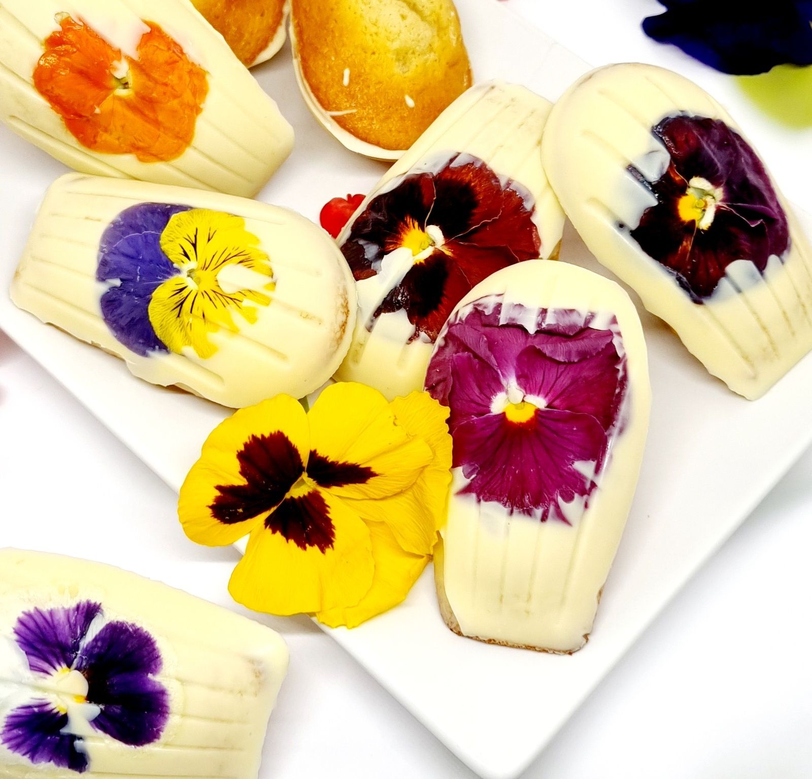 Madeleine chocolat et fleurs