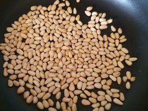 Salade d'orecchiettes estivale