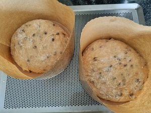 Panettone aux pépites de chocolat