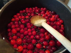 Linzer cranberrys myrtilles