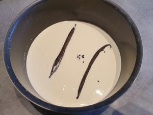 Bûche glacée façon viennetta