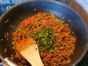 Samoussas bœuf et légumes