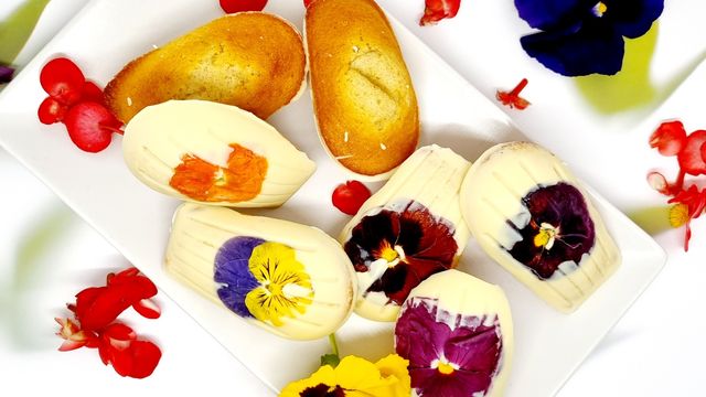 Madeleine chocolat et fleurs