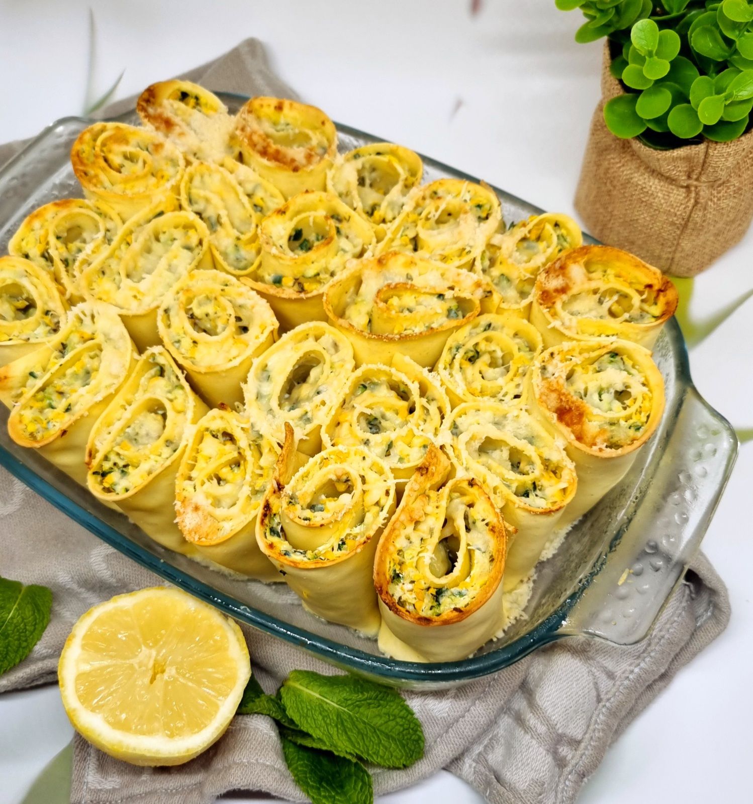 Lasagnes/cannellonis de courgette