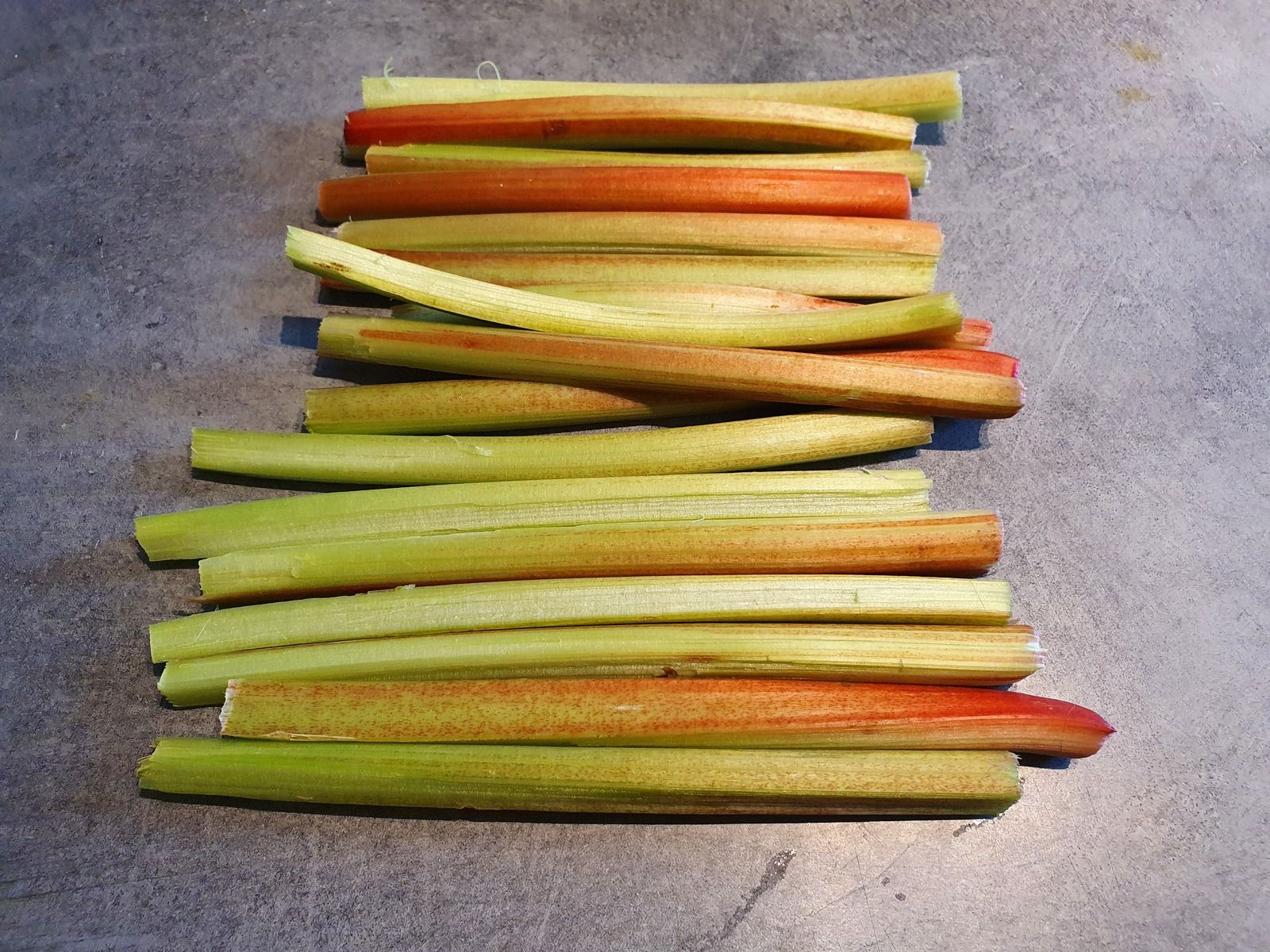 Tarte géométrique à la rhubarbe