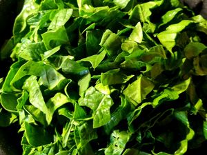 Saumon à la toscane