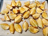 Soupe végane à l'oignon caramélisé