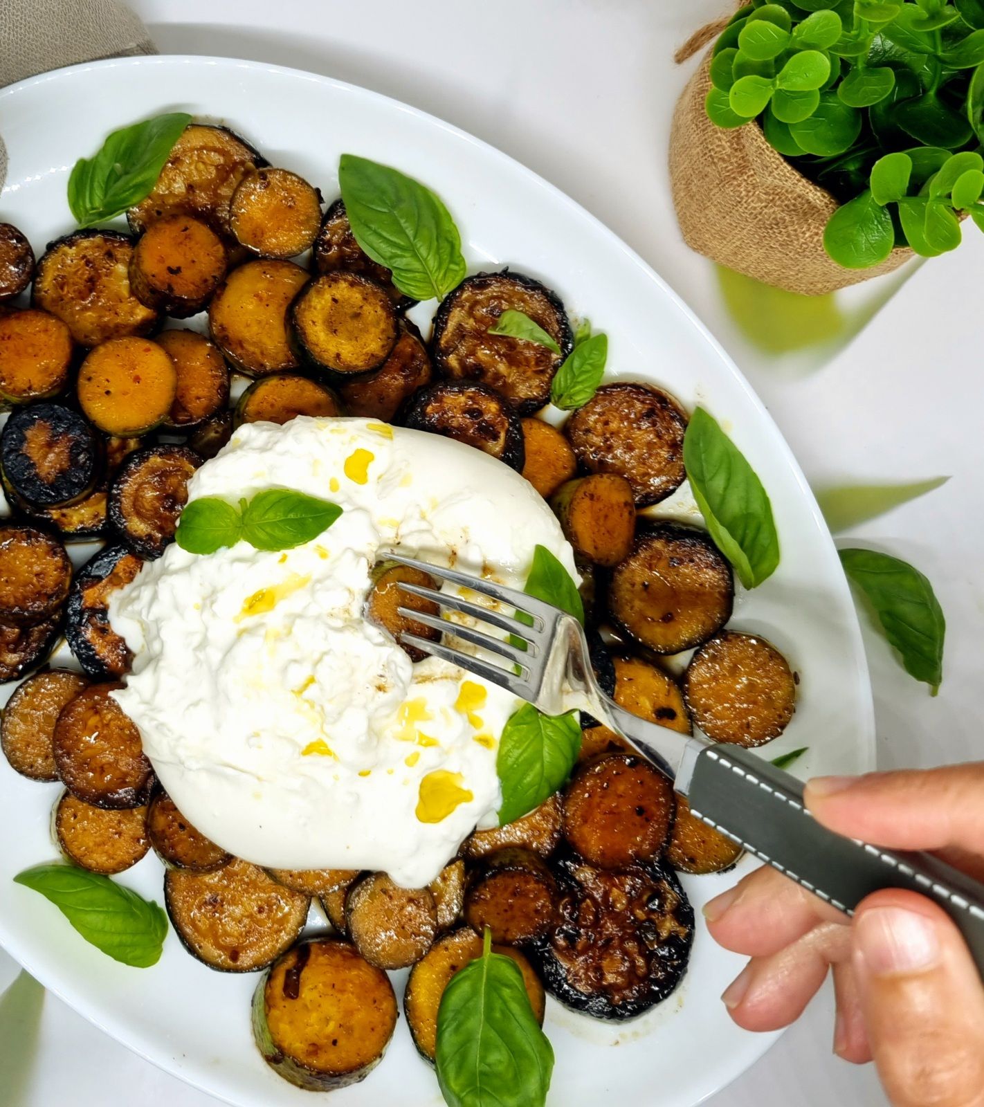 Courgettes sautées au balsamique et burrata
