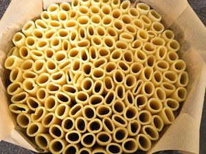 Gâteau de rigatonis à la bolognaise