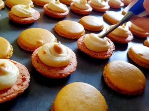 Macarons citron noisette
